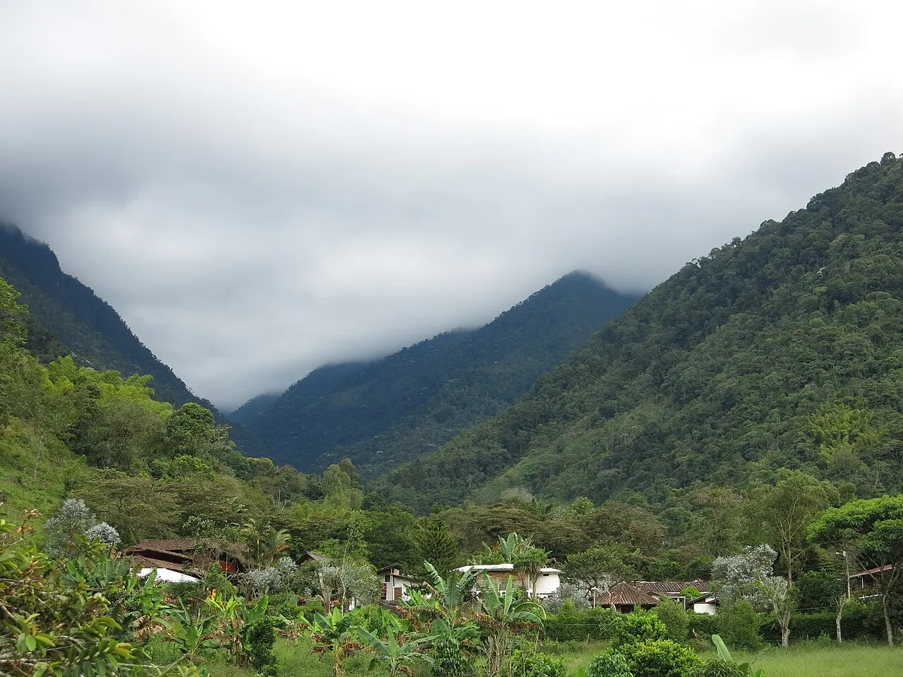 Farallones de Cali National Natural Park, Cali, Valle del Cauca Department, Colombia