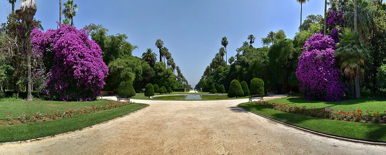 Jardin d'Essai du Hamma, Algiers, Algiers, Algeria