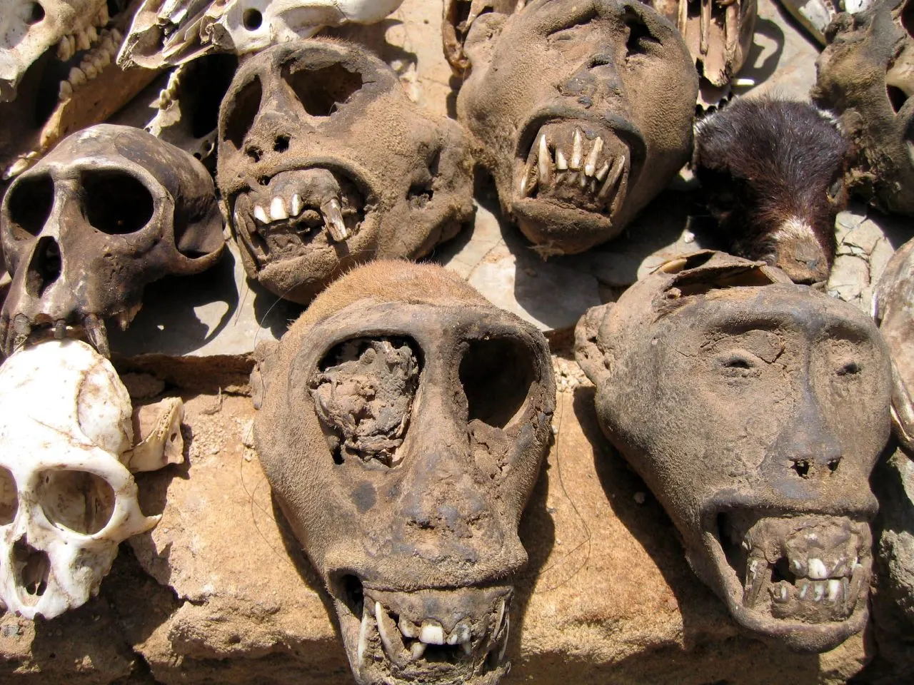 Akodessewa Fetish Market, Lomé, Maritime, Togo
