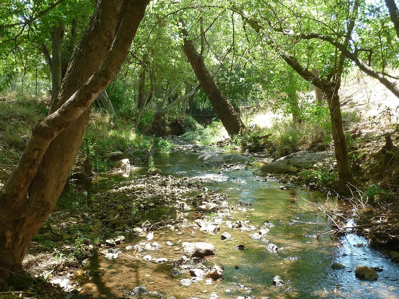 Groenkloof Nature Reserve, Pretoria, Gauteng, South Africa