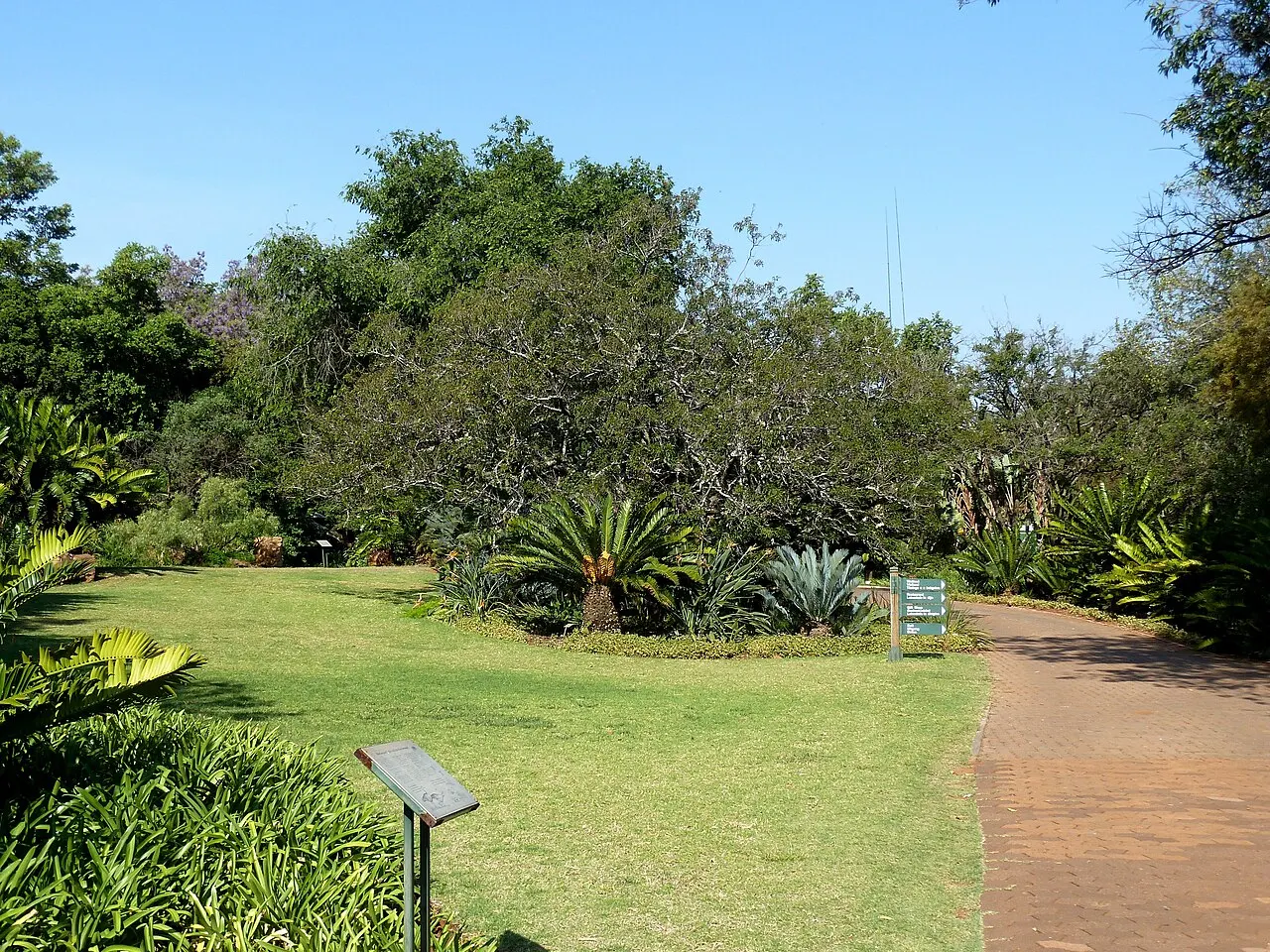 Pretoria National Botanical Garden, Pretoria, Gauteng, South Africa