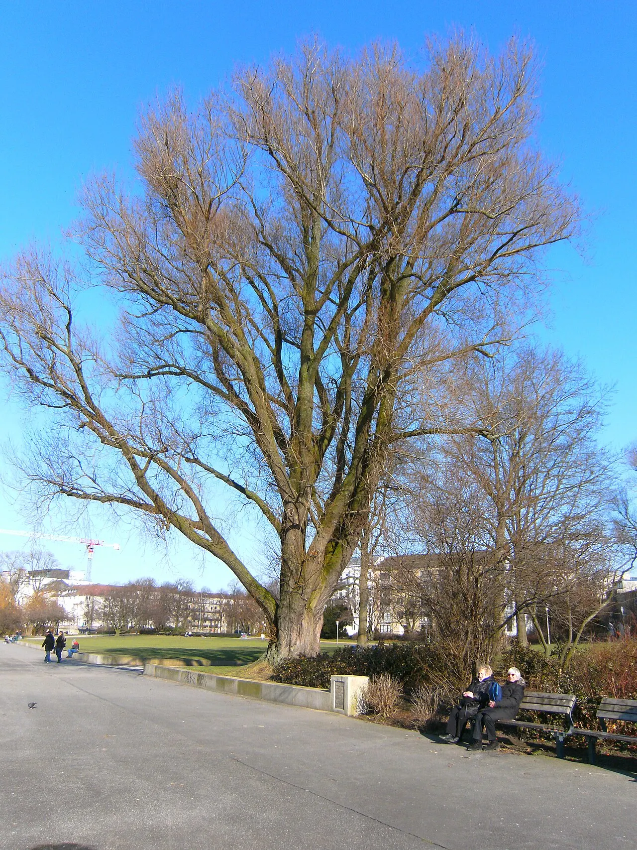Outer Alster Lake, Hamburg, Hamburg, Germany