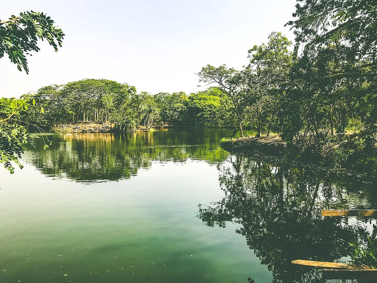 Legon Botanical Garden, Accra, Greater Accra, Ghana