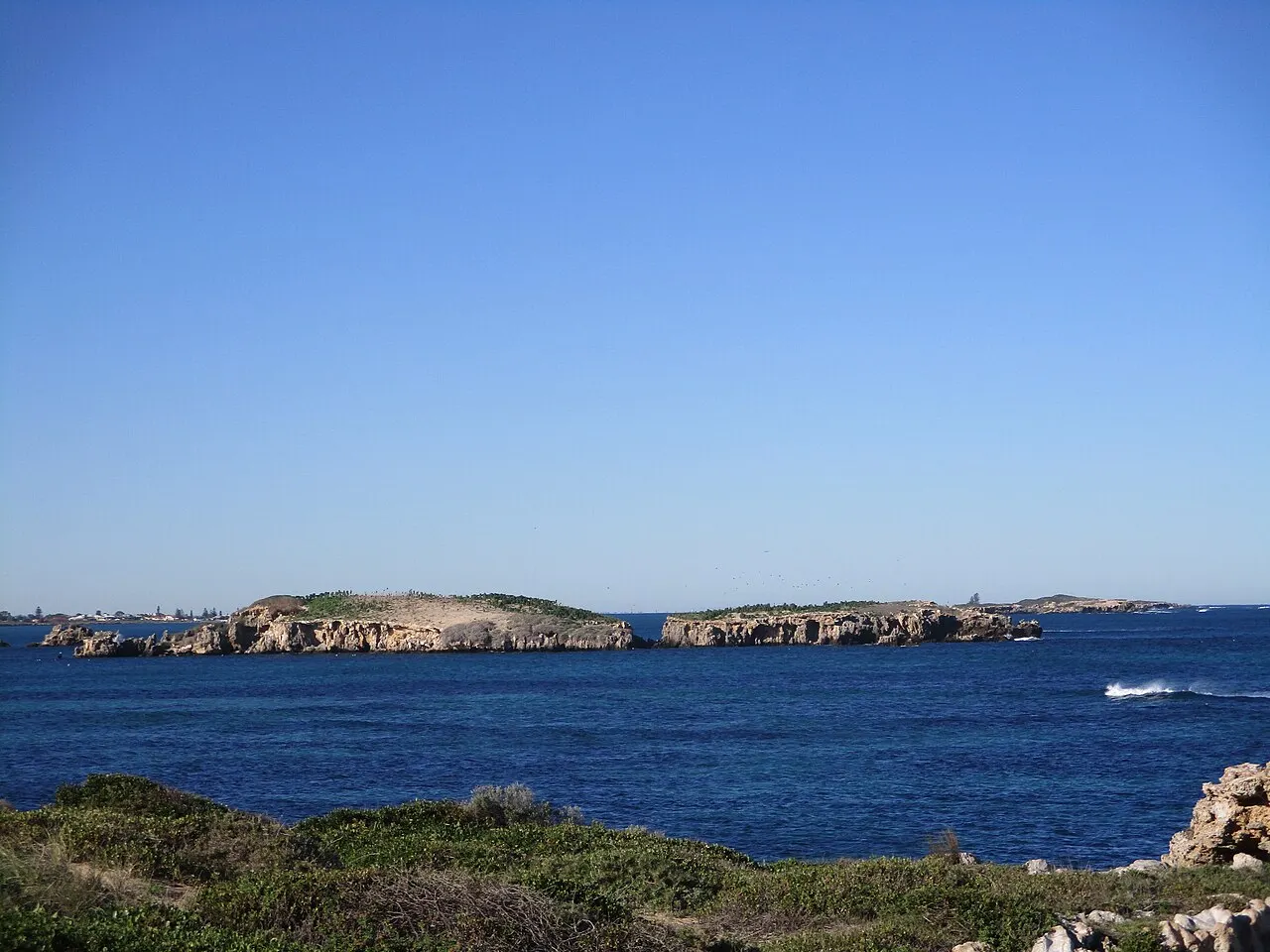 Isla de Pájaros Celestún, Celestún, Yucatán, Mexico