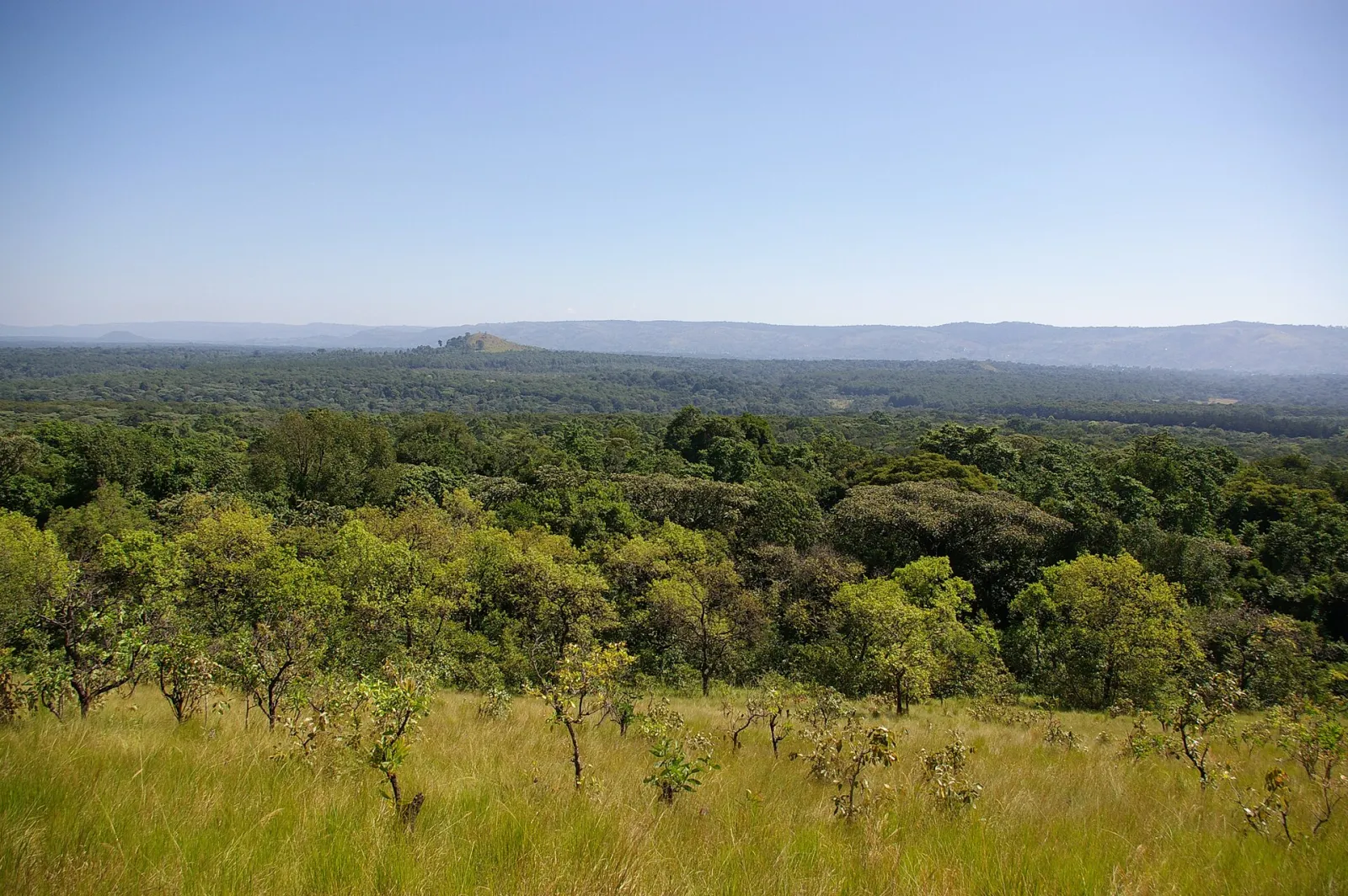 View from Lirhanda Hill panoramio, Kakamega, Kakamega County, Kenya