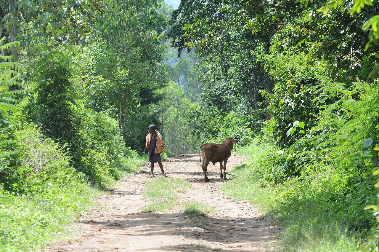 Kakamega, Kakamega County, Kenya