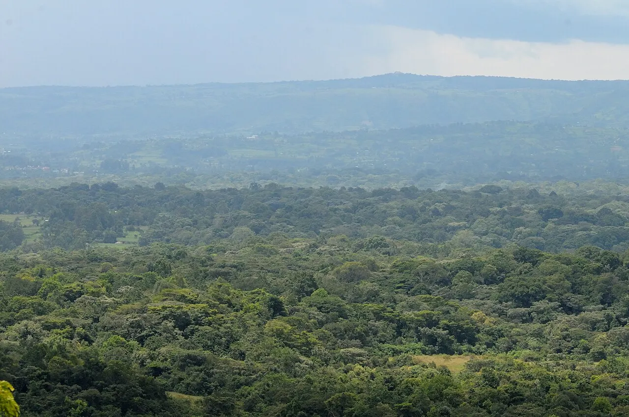 Kakamega, Kakamega County, Kenya