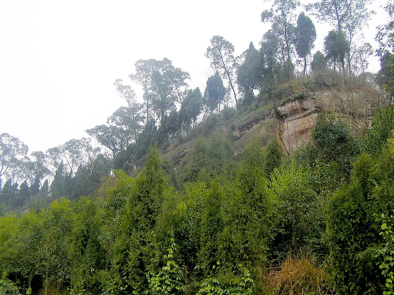 Lingyun Mountain, Nanchong, Sichuan, China