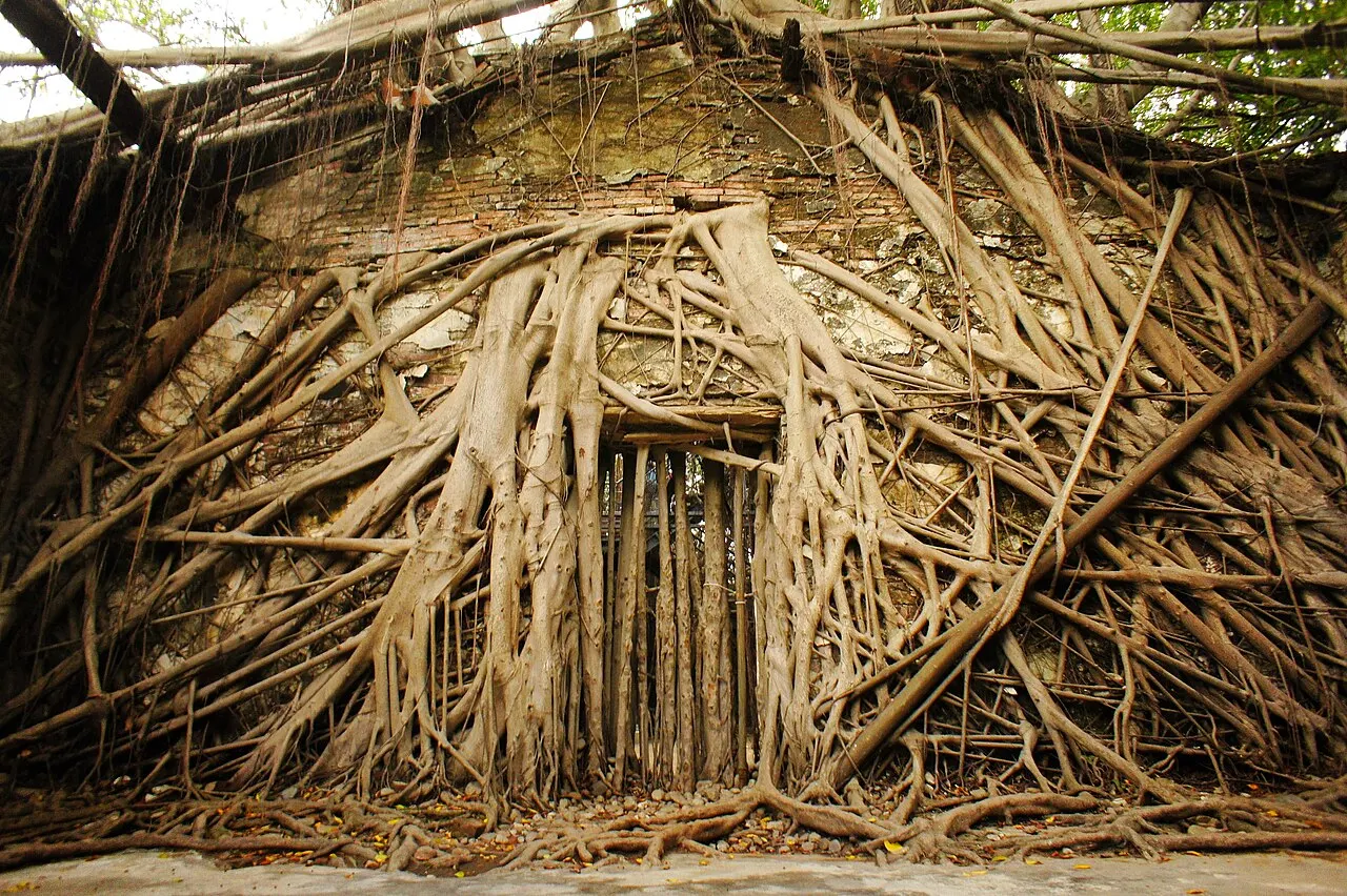 Anping Tree House, Tainan, Taiwan