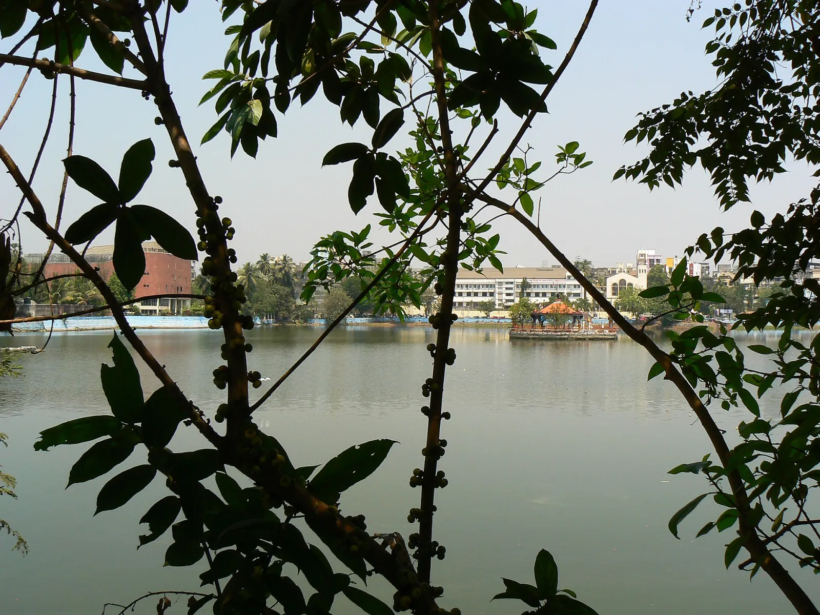 Masunda Lake, Thāne, Maharashtra, India