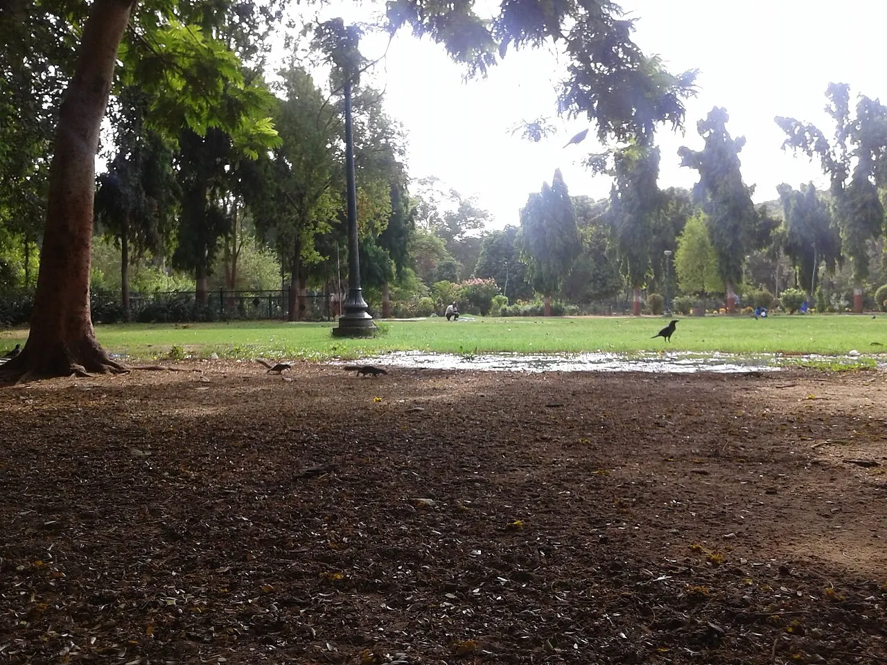 Sayaji Baug, Vadodara, Gujarat, India