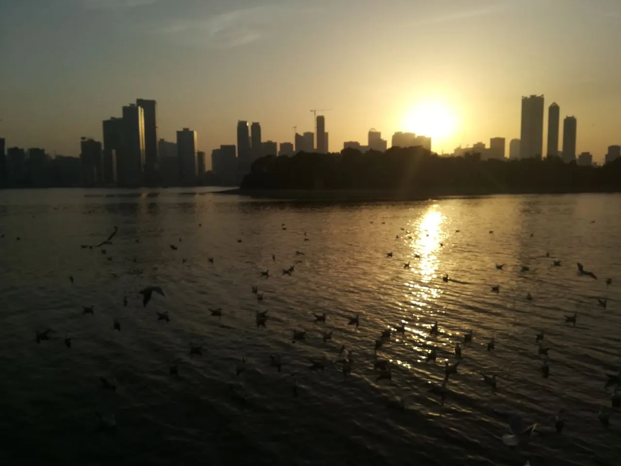 Al Majaz Waterfront, Sharjah, Sharjah, United Arab Emirates