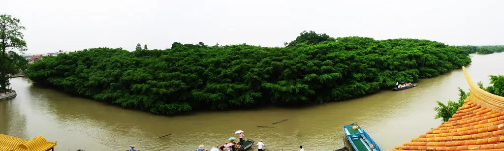 Bird Paradise Xinhui, Jiangmen, Guangdong, China
