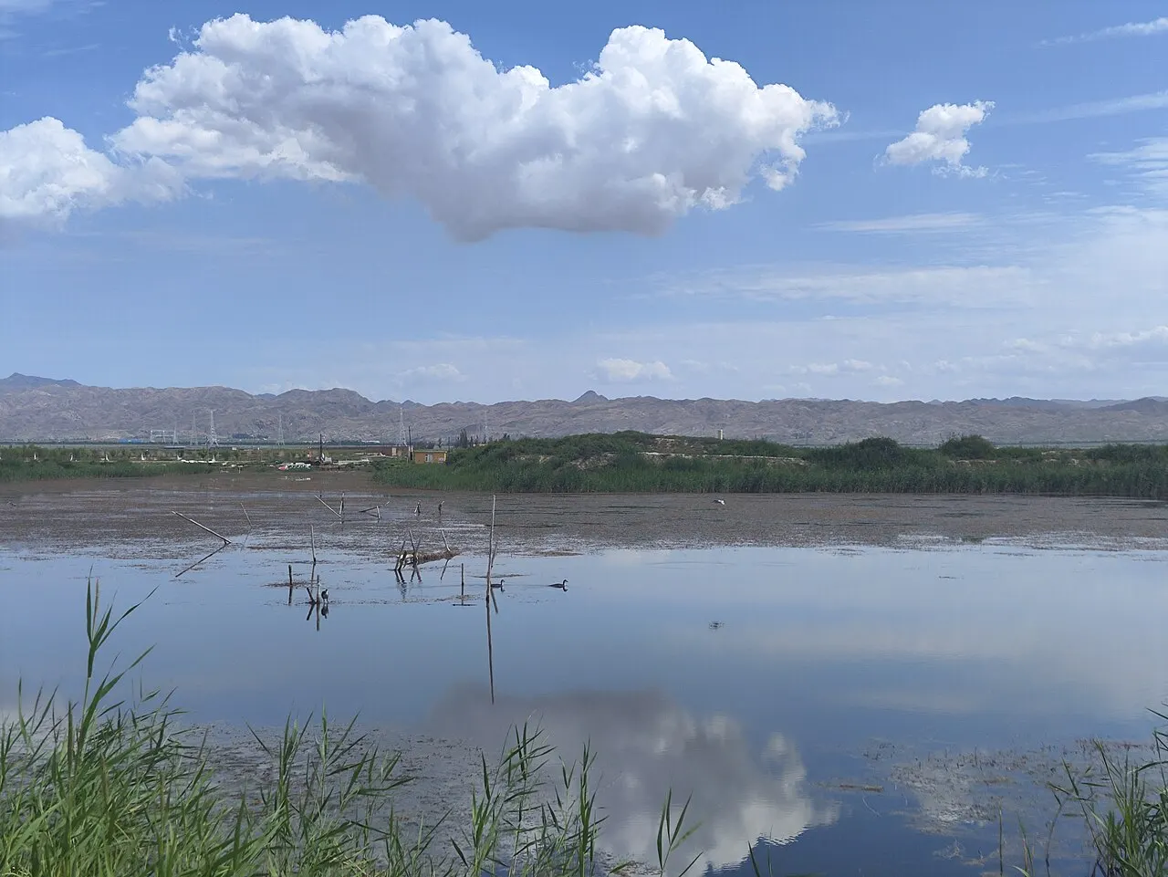 Wuliangsuhai Lake, Bayan Nur, Inner Mongolia, China