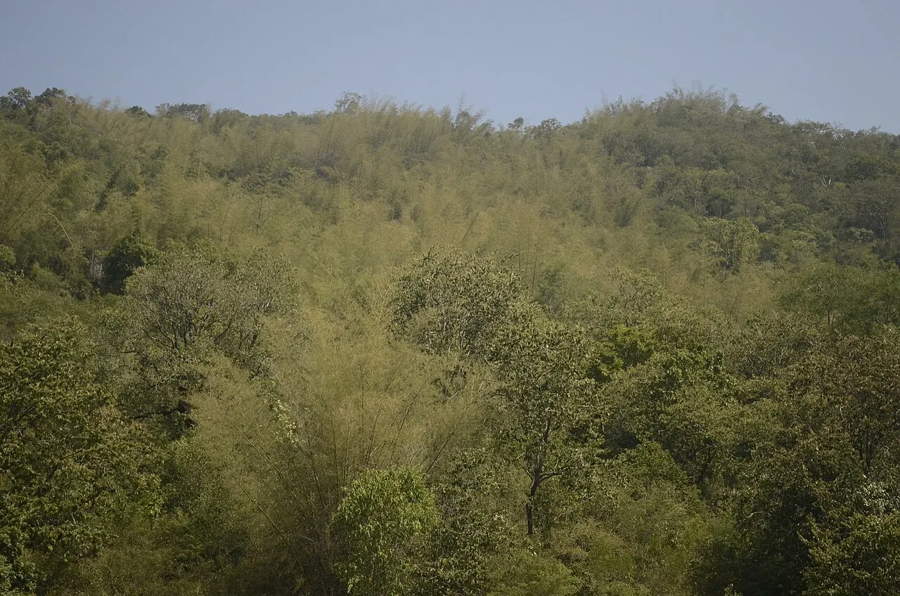 Kallakurichi, Tamil Nadu, India