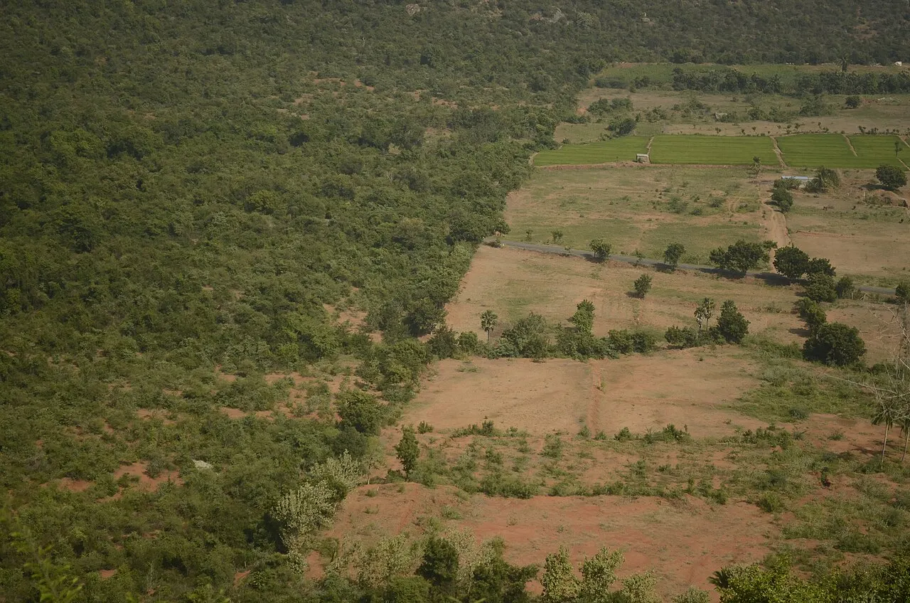 Kalvarayan Hills, Kallakurichi, Tamil Nadu, India