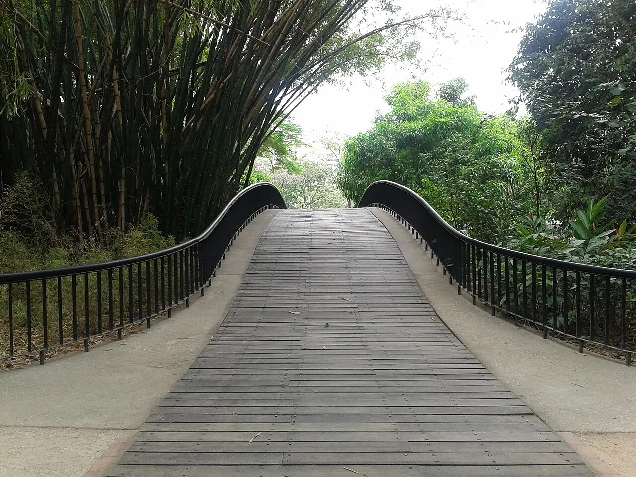 Parque Negra Hipólita, Valencia, Carabobo, Venezuela