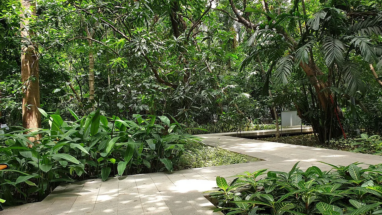 Arroceros Forest Park, Manila, National Capital Region, Philippines