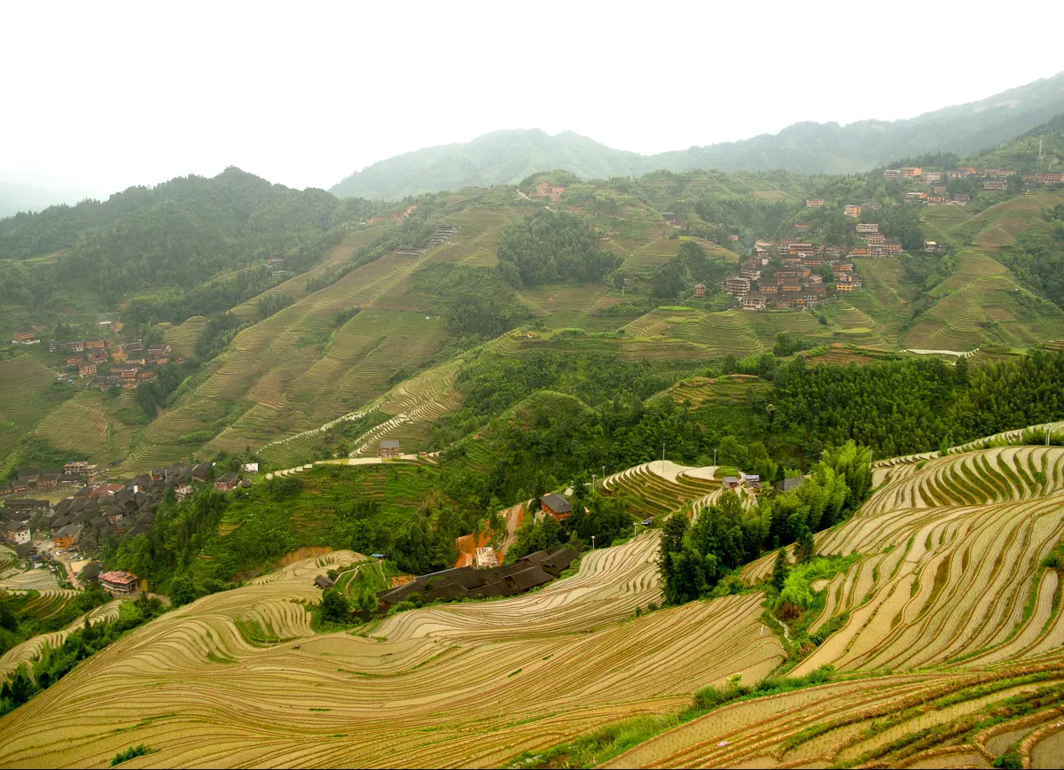 Longji Rice Terraces, Guilin, Guangxi, China