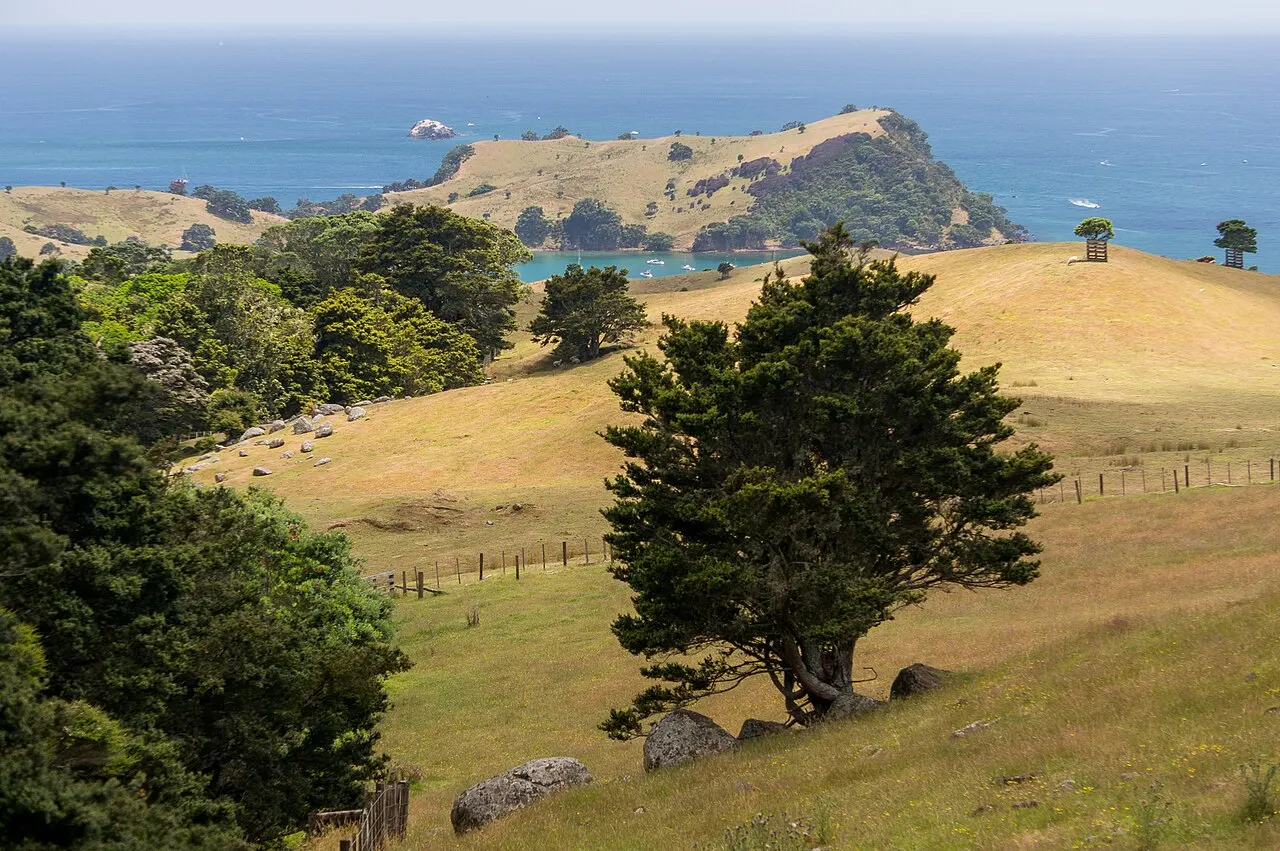 Waiheke Island, Auckland, Auckland, New Zealand
