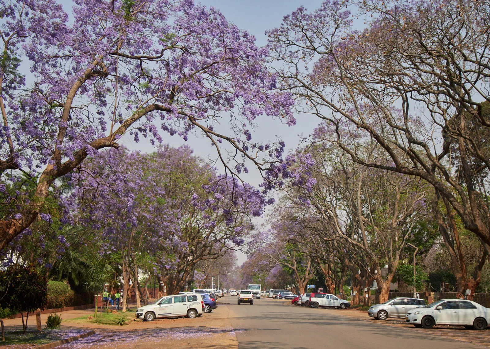 Harare, Harare, Zimbabwe