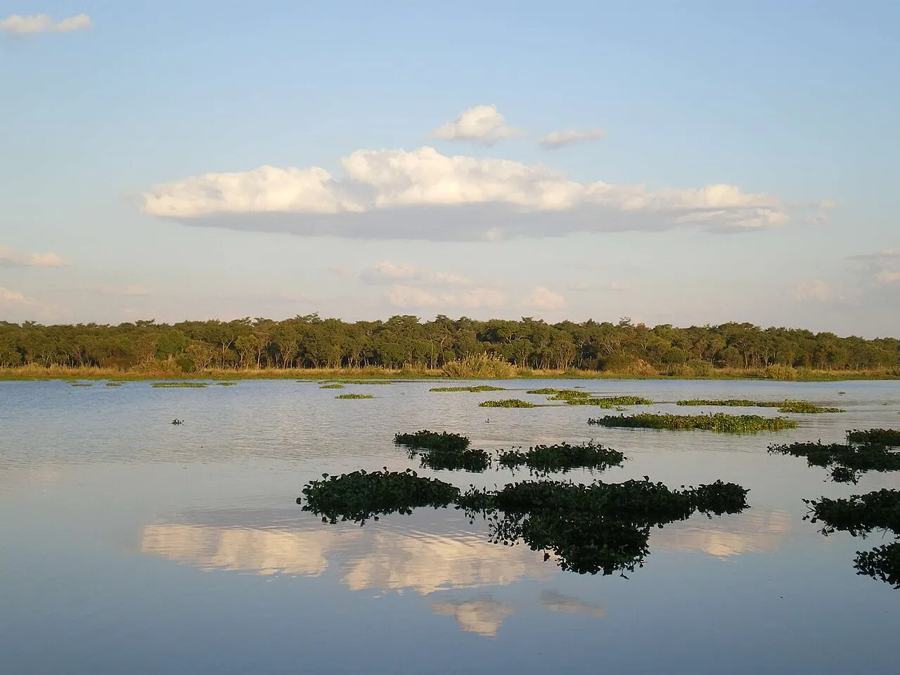 Lake Chivero, Harare, Harare, Zimbabwe