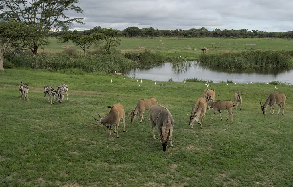 Mukuvisi Woodlands, Harare, Harare, Zimbabwe