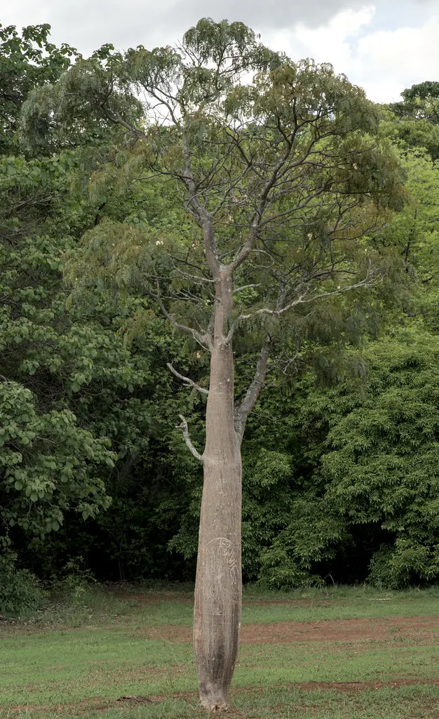 National Botanic Garden, Harare, Harare, Harare, Zimbabwe