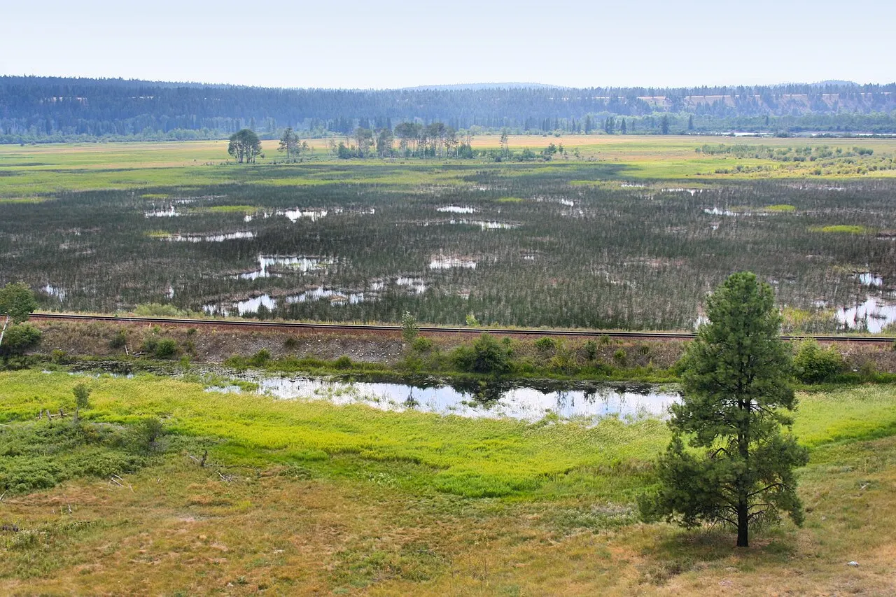 Columbia Wetlands, Invermere, British Columbia, Canada