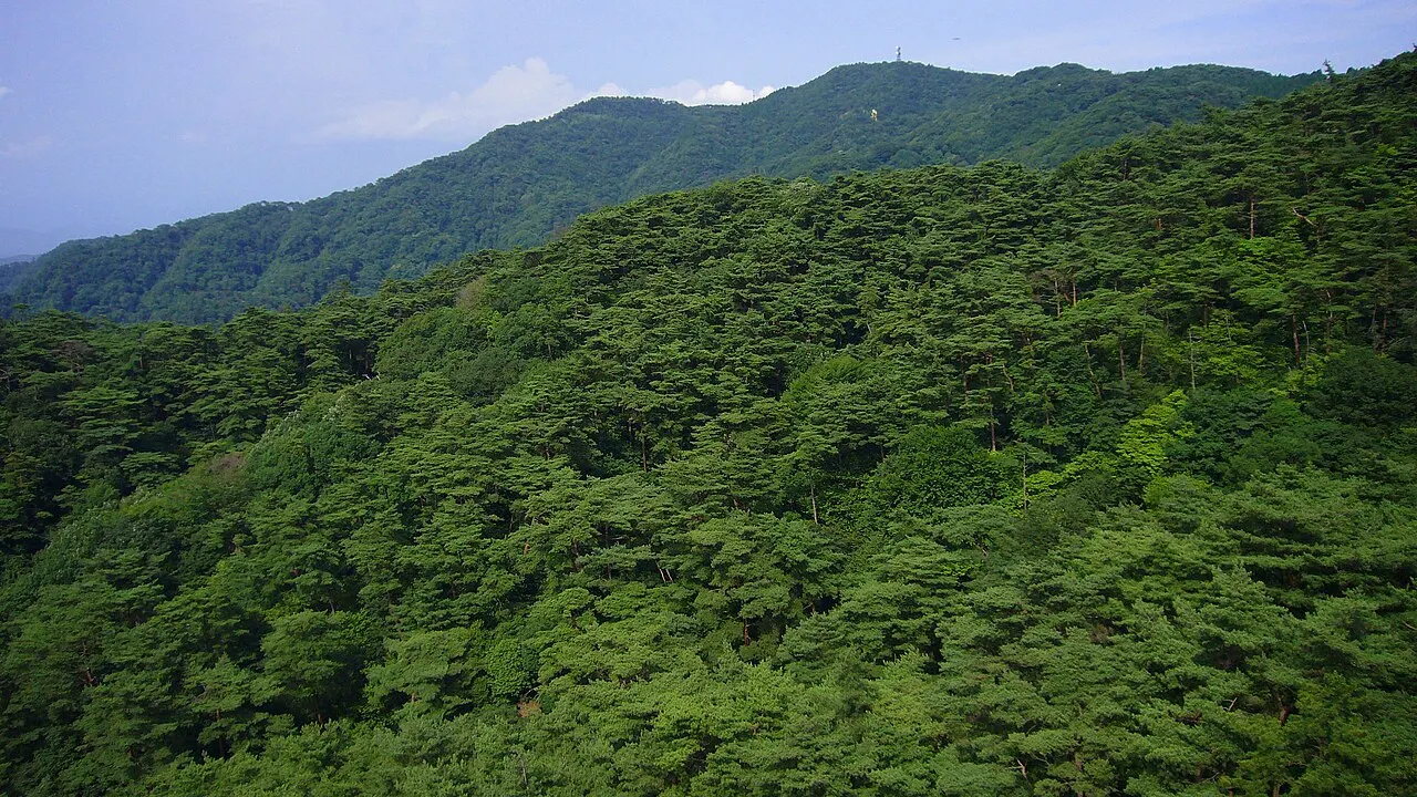 Mount Rokko, Kobe, Hyōgo, Japan