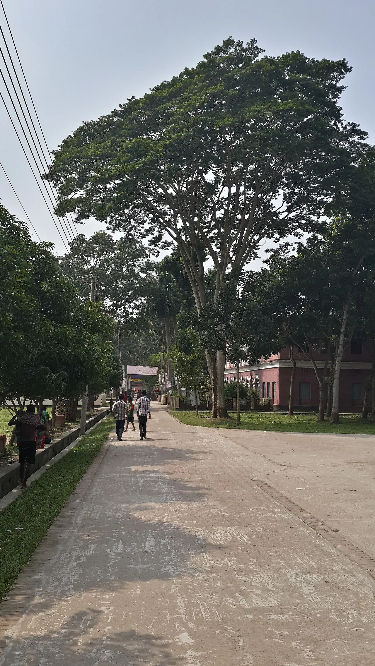 Government Brajalal College, Khulna, Khulna Division, Bangladesh