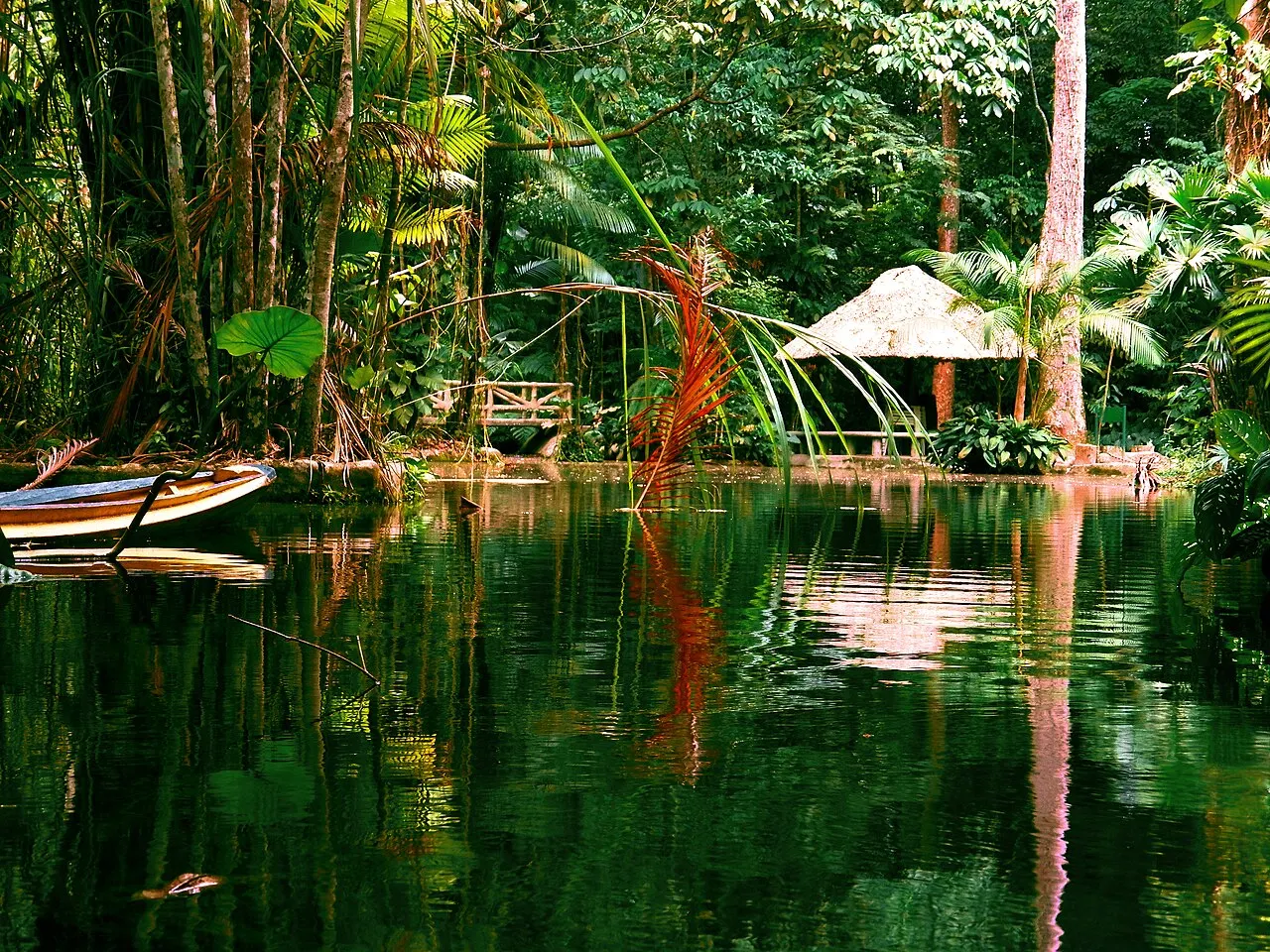Bosque Rodrigues Alves, Belém, Pará, Brazil