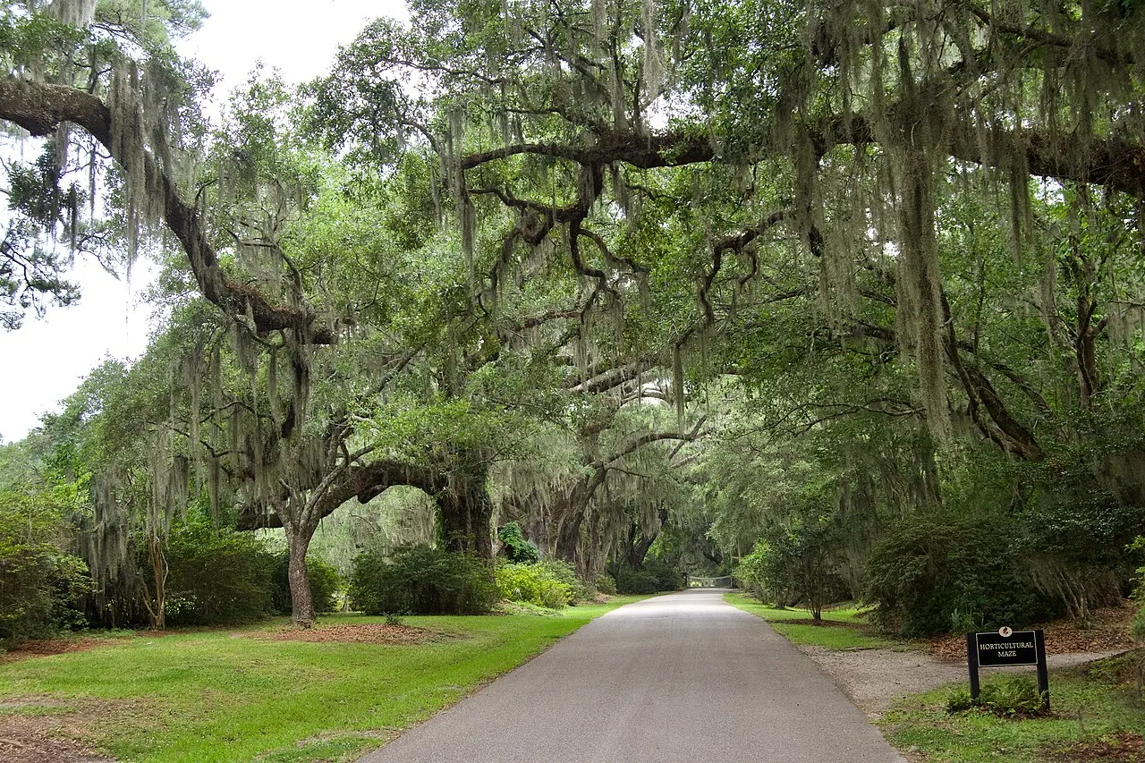 Magnolia Plantation and Gardens, Charleston, South Carolina, United States