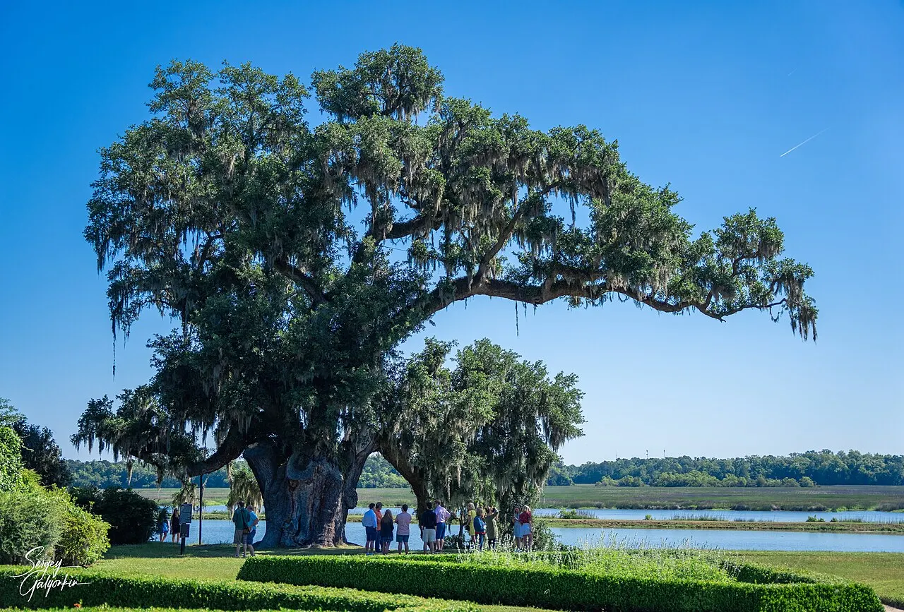 Middleton Place, Charleston, South Carolina, United States