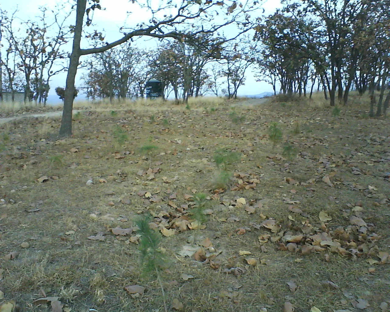 Bosque El Nixticuil, Zapopan, Jalisco, Mexico