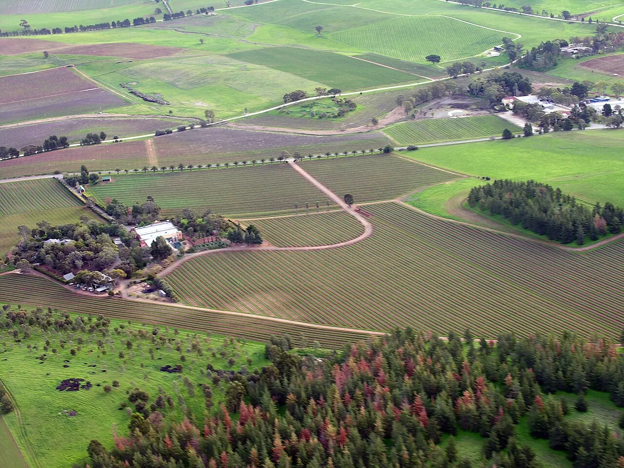 Barossa Valley, Adelaide, South Australia, Australia