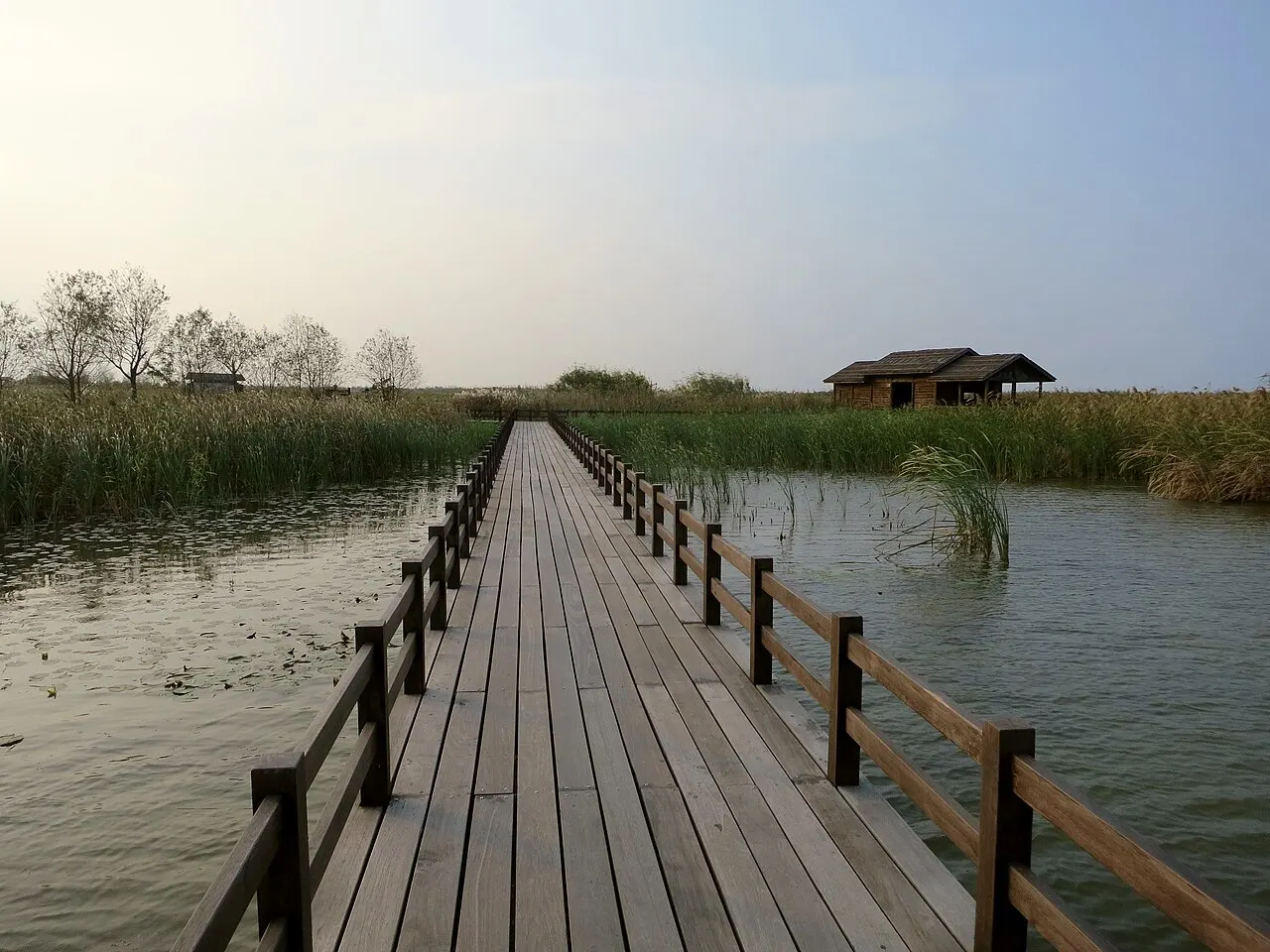 Hangzhou Bay National Wetland Park, Cixi, Zhejiang, China