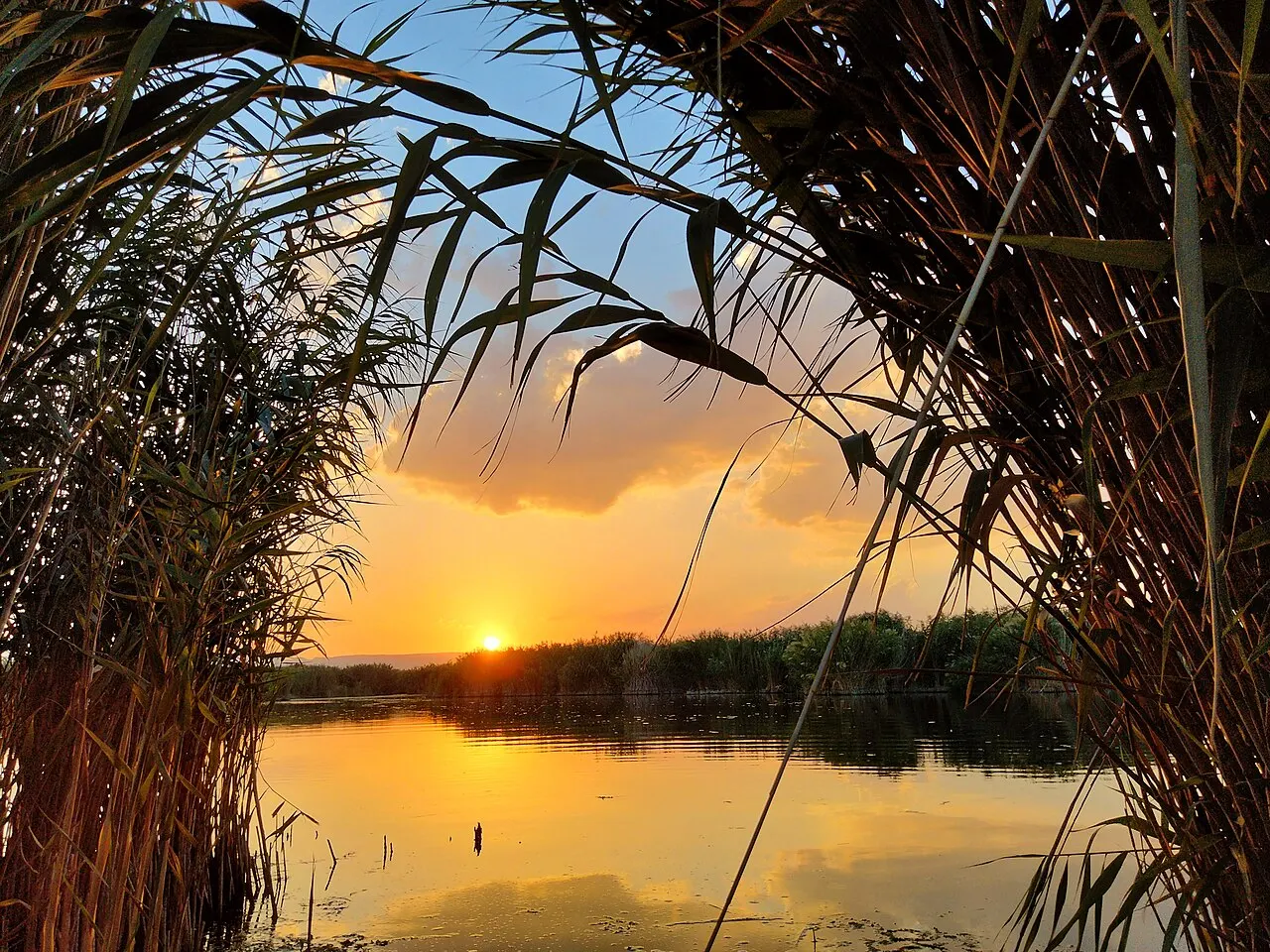 Sultan Marshes National Park, Kayseri, Kayseri, Turkey