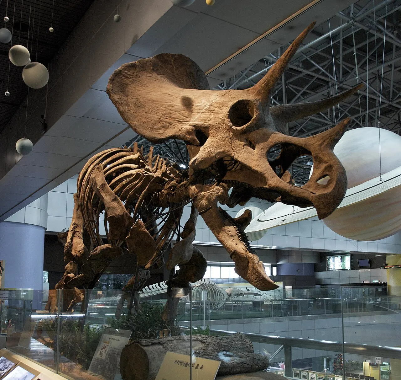 National Science Museum Korea, Daejeon, Daejeon, South Korea