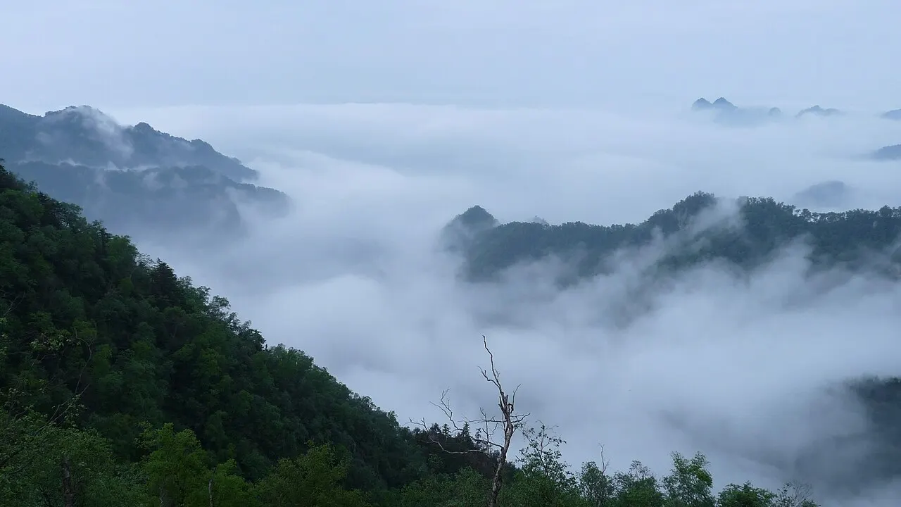 Hongheguo Forest Park, Baoji, Shaanxi, China