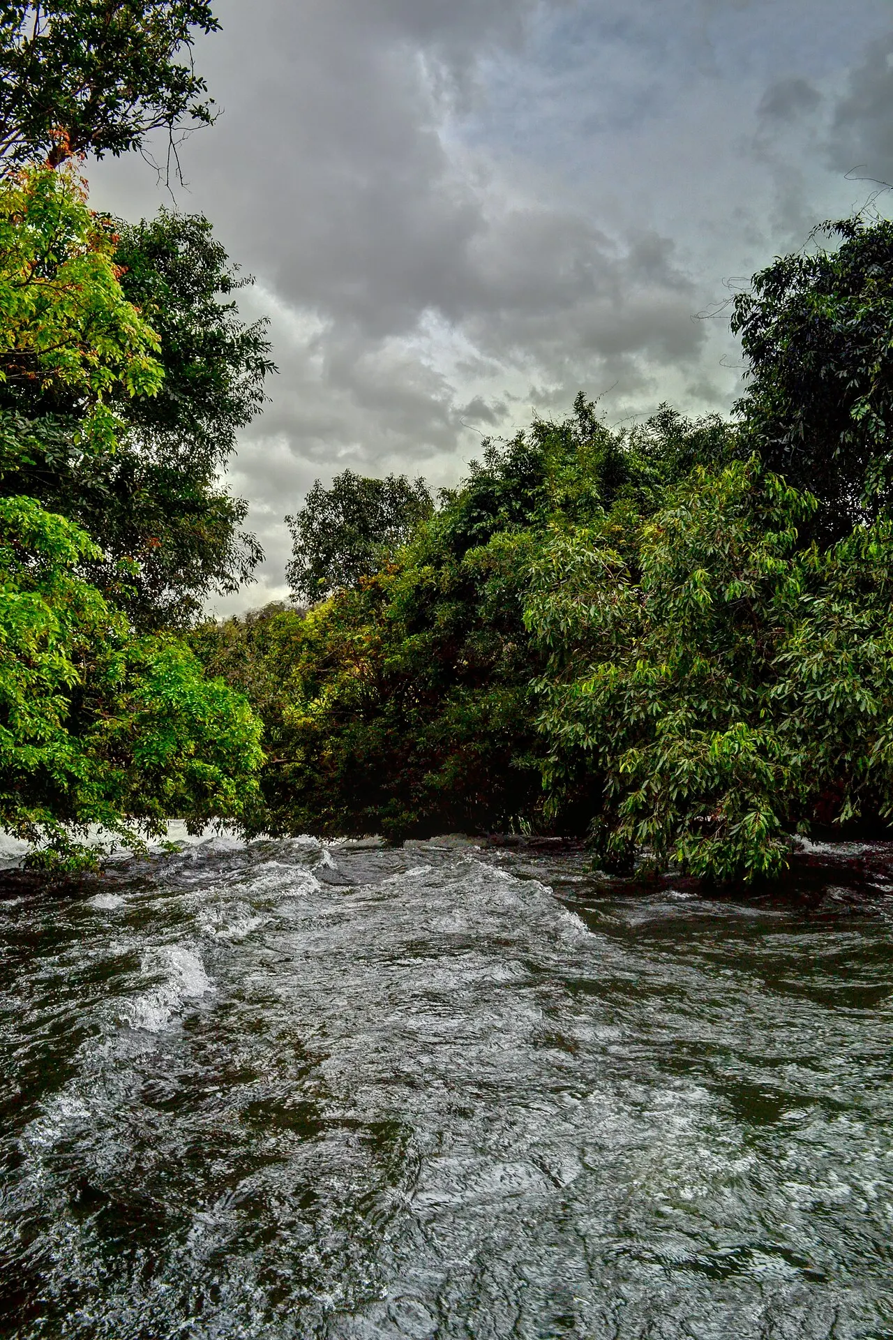 Agasthiyar Falls, Tirunelveli, Tamil Nadu, India