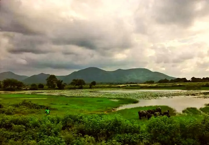 Dalma Wildlife Sanctuary, Jamshedpur, Jharkhand, India