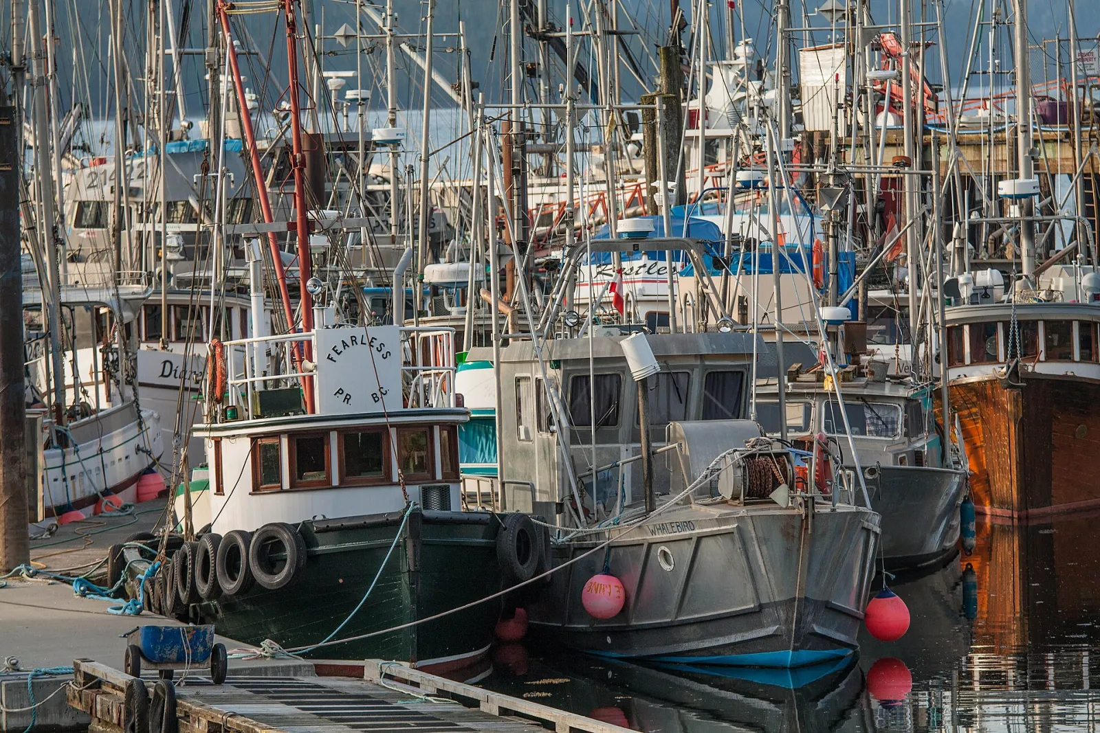 Metlakatla, Prince Rupert, British Columbia, Canada