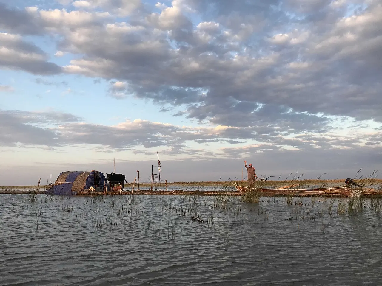 Mesopotamian Marshes, Basrah, Basra, Iraq