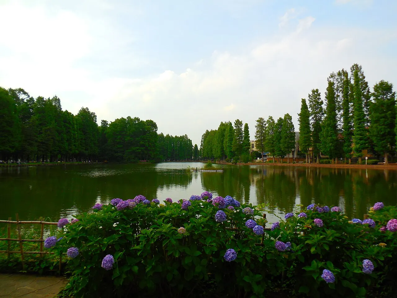 Bessho-numa Park, Saitama, Saitama, Japan