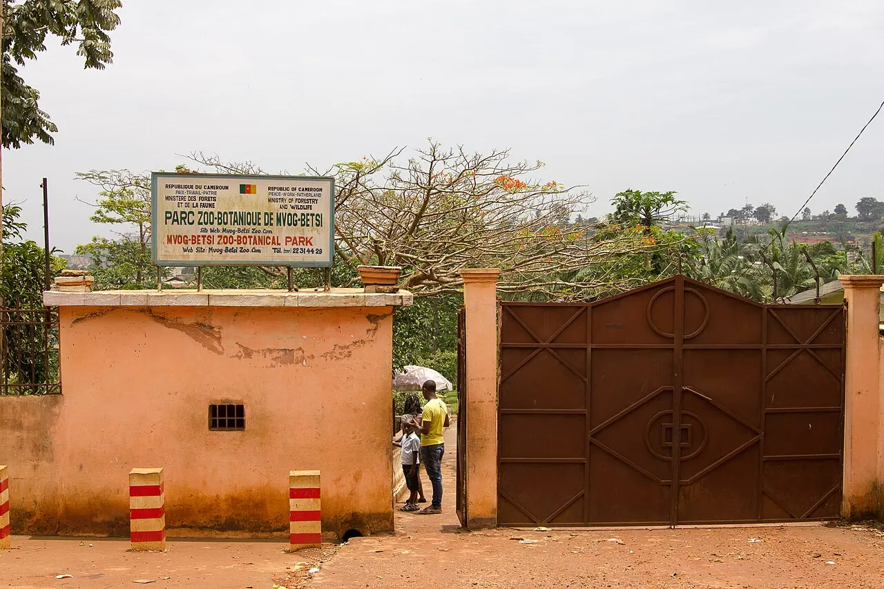 Mvog-Betsi Zoo, Yaoundé, Centre, Cameroon