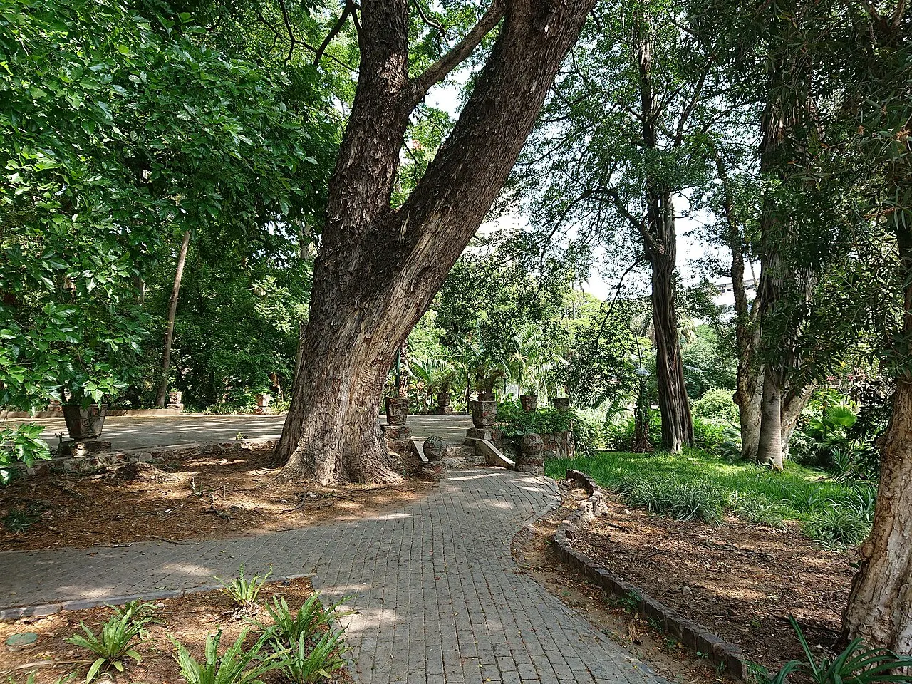 Tunduru Botanical Garden, Maputo, Maputo City, Mozambique