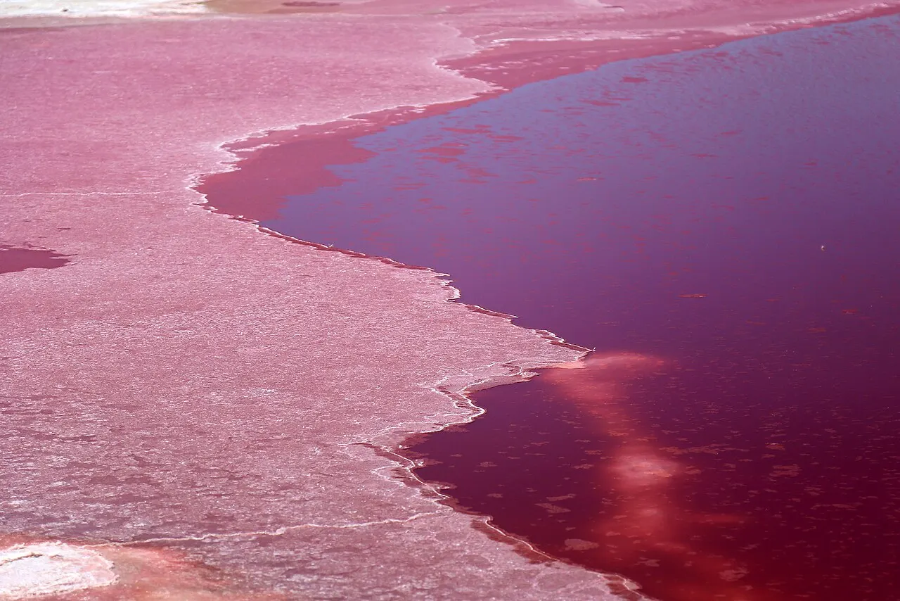 Maharloo Lake, Shiraz, Fars, Iran