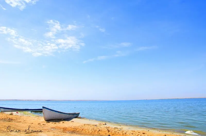 Lake Razzaza, Karbala, Karbala, Iraq