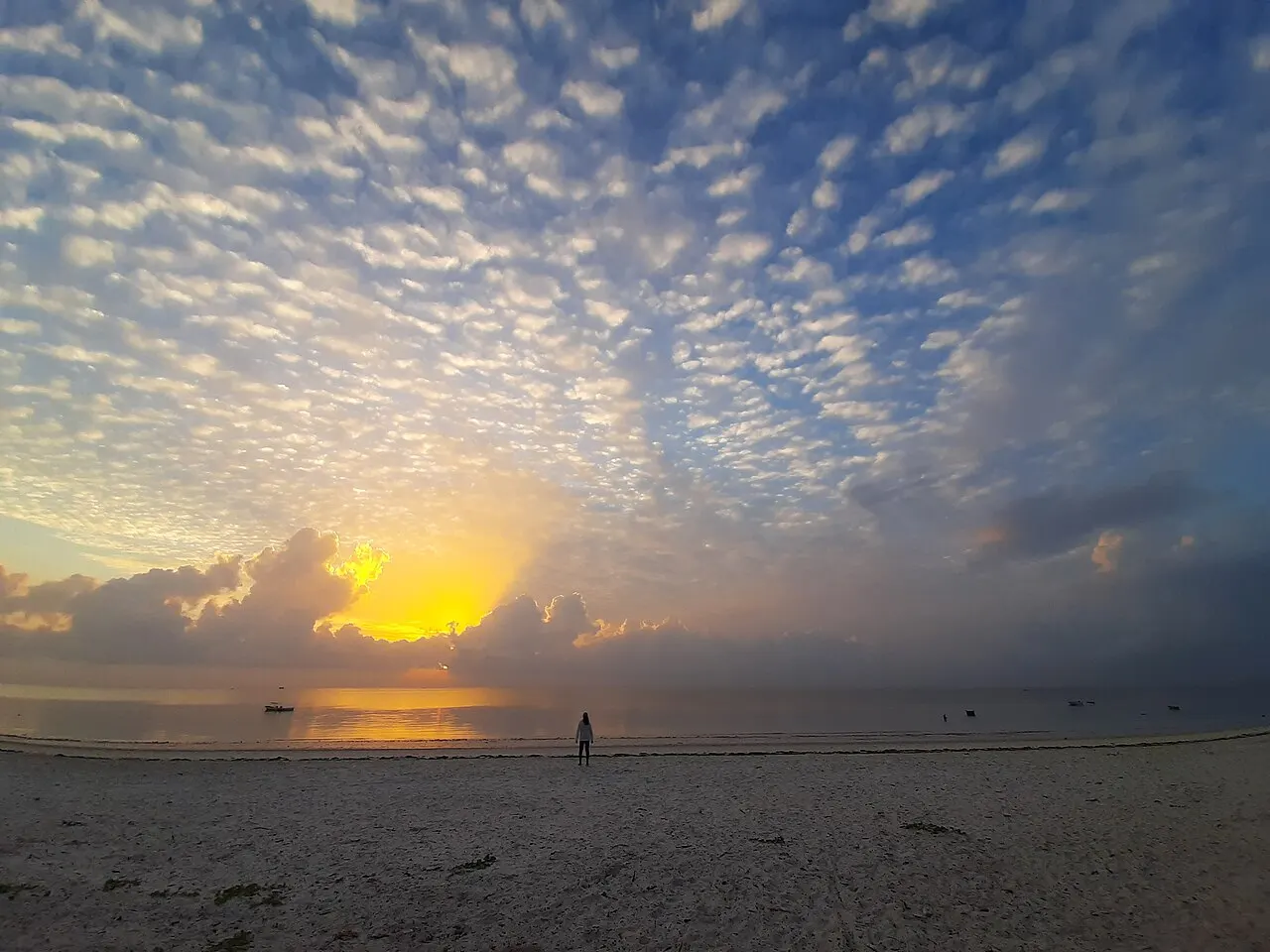 Nyali Beach, Mombasa, Mombasa County, Kenya